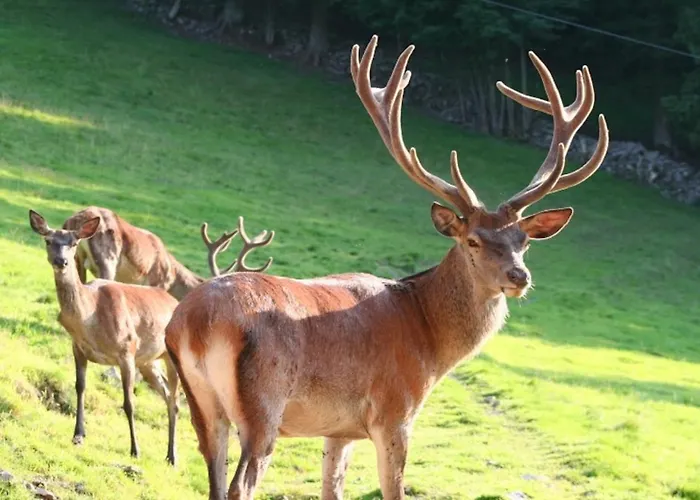 Fuchsmichelhof 4 Seebach